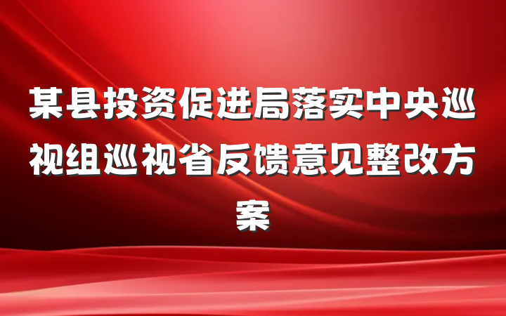 某县投资促进局落实中央巡视组巡视省反馈意见整改方案
