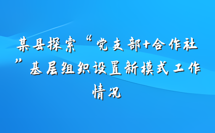 某县探索“党支部+合作社”基层组织设置新模式工作情况