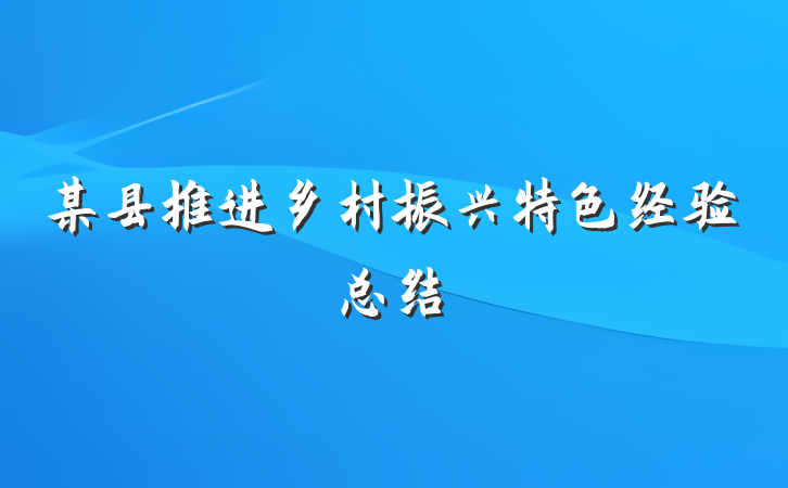 某县推进乡村振兴特色经验总结