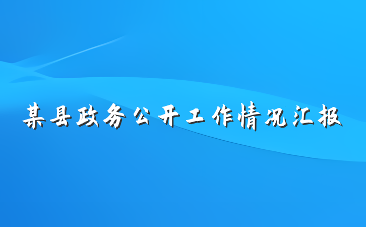 某县政务公开工作情况汇报