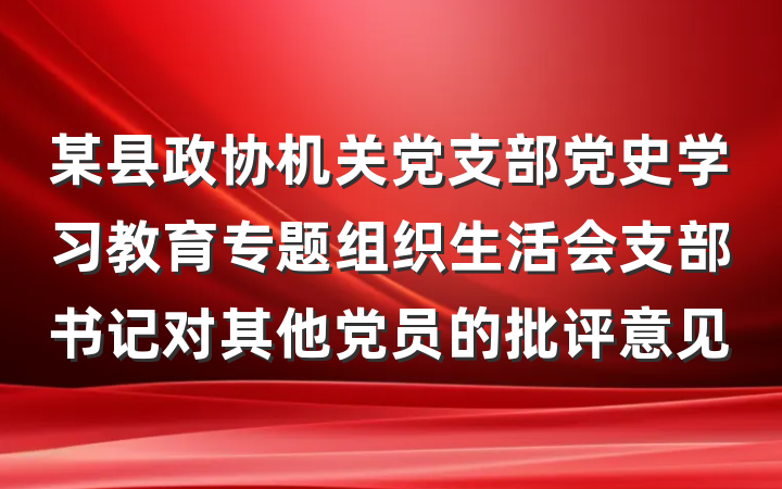 某县政协机关党支部党史学习教育专题组织生活会支部书记对其他党员的批评意见