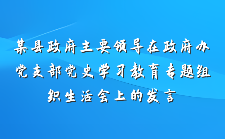 某县政府主要领导在政府办党支部党史学习教育专题组织生活会上的发言