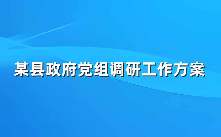 某县政府党组调研工作方案
