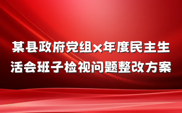 某县政府党组x年度民主生活会班子检视问题整改方案