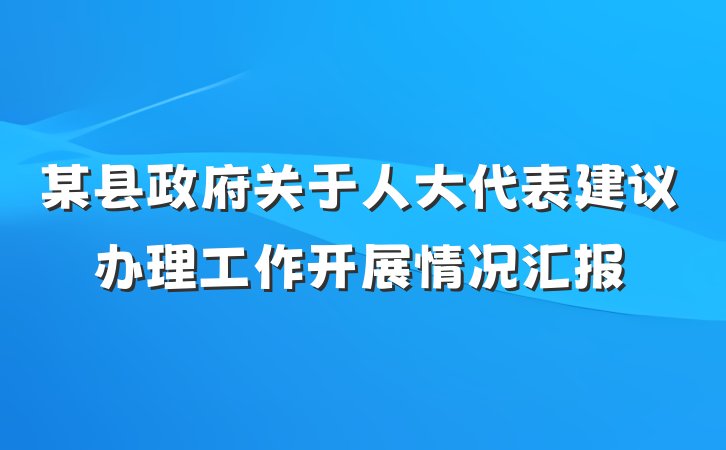 某县政府关于人大代表建议办理工作开展情况汇报