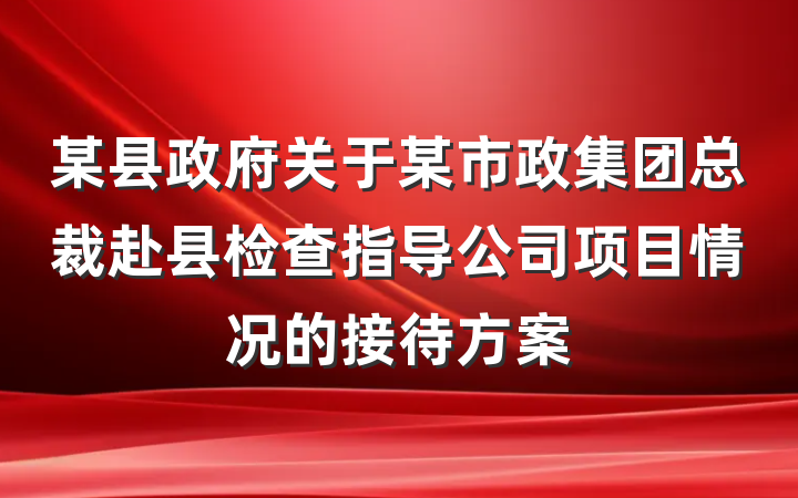 某县政府关于某市政集团总裁赴县检查指导公司项目情况的接待方案