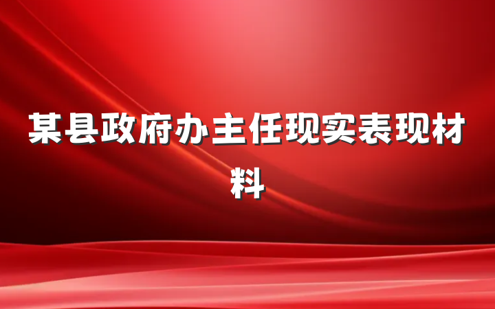 某县政府办主任现实表现材料