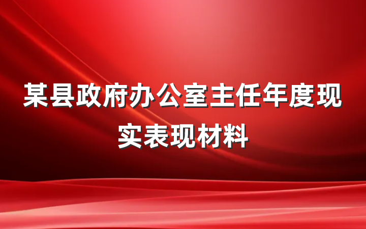 某县政府办公室主任年度现实表现材料
