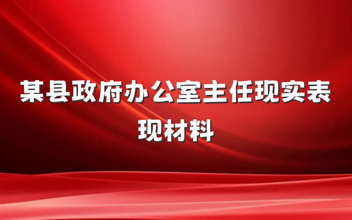 某县政府办公室主任现实表现材料