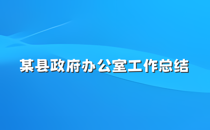 某县政府办公室工作总结