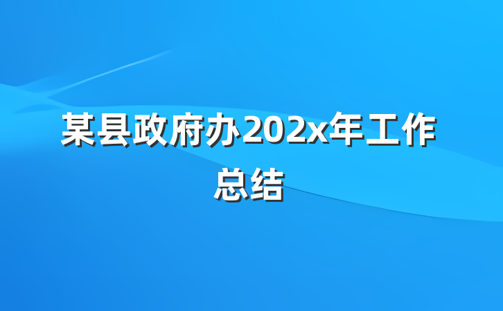 某县政府办202x年工作总结