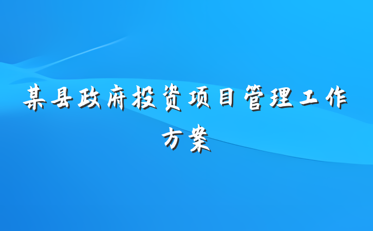 某县政府投资项目管理工作方案