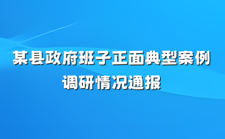 某县政府班子正面典型案例调研情况通报