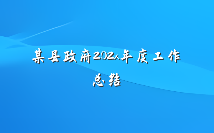 某县政府202x年度工作总结