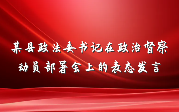 某县政法委书记在政治督察动员部署会上的表态发言