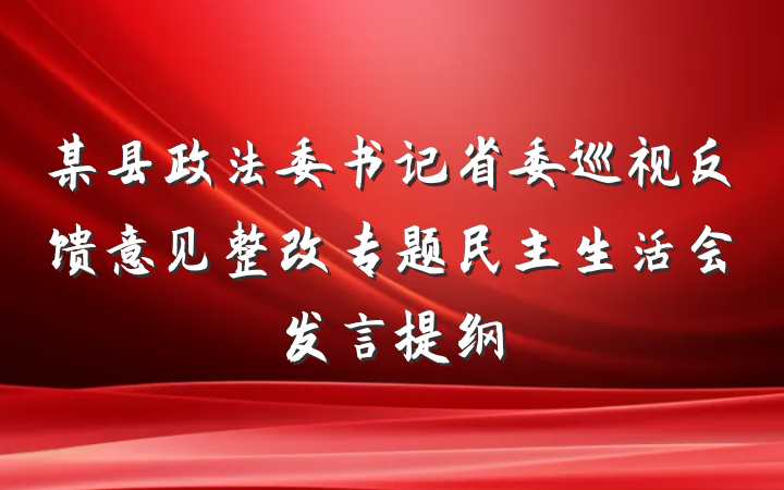某县政法委书记省委巡视反馈意见整改专题民主生活会发言提纲