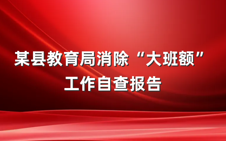某县教育局消除“大班额”工作自查报告