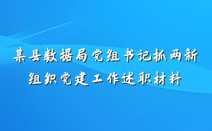 某县数据局党组书记抓两新组织党建工作述职材料