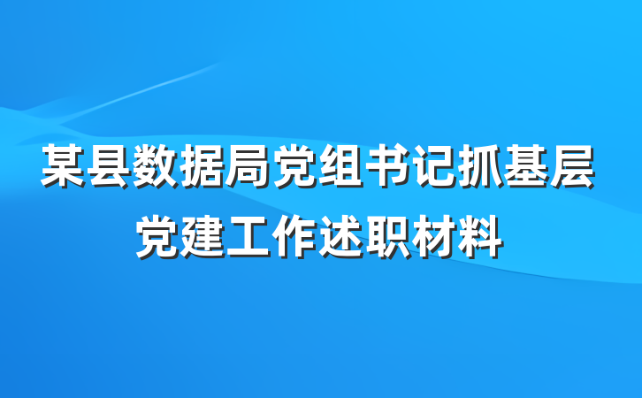 某县数据局党组书记抓基层党建工作述职材料