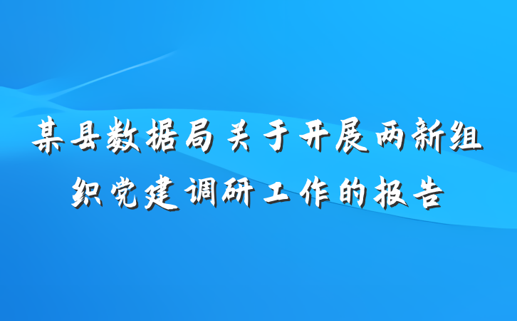 某县数据局关于开展两新组织党建调研工作的报告