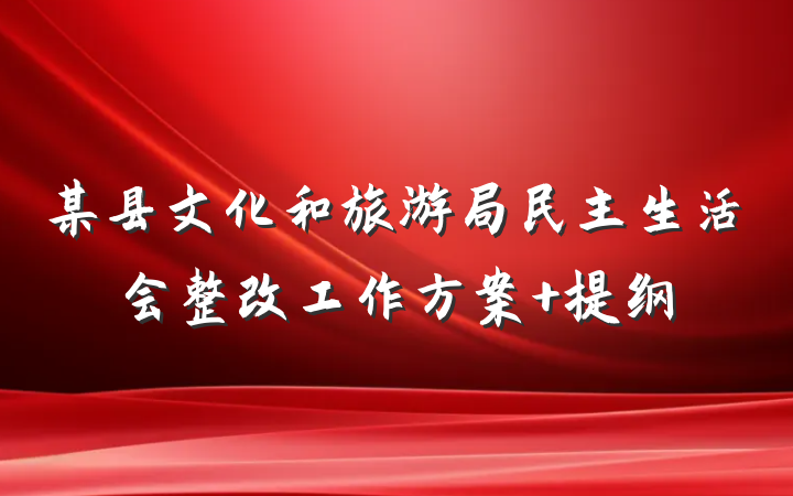 某县文化和旅游局民主生活会整改工作方案 提纲