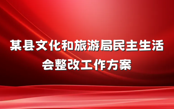 某县文化和旅游局民主生活会整改工作方案