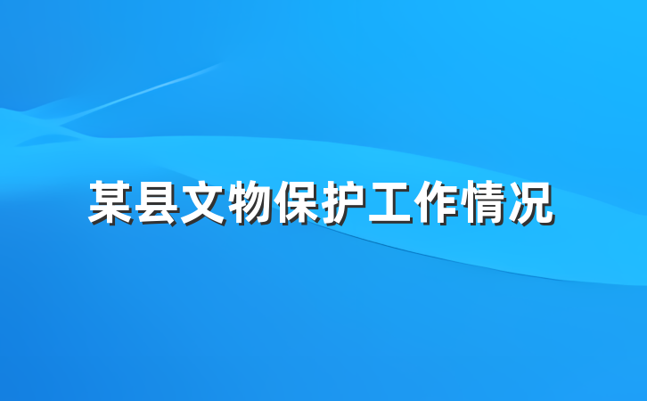 某县文物保护工作情况