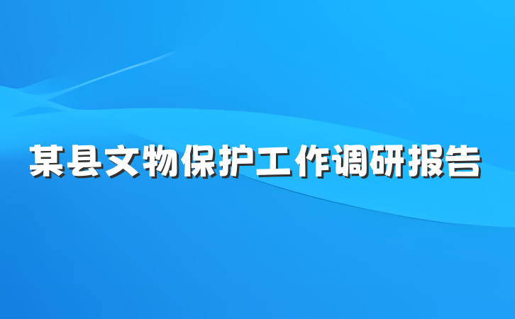 某县文物保护工作调研报告