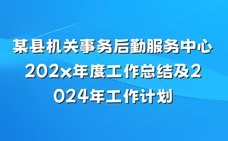 某县机关事务后勤服务中心202x年度工作总结及2024年工作计划