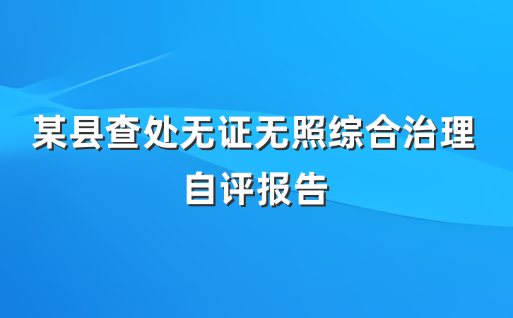 某县查处无证无照综合治理自评报告