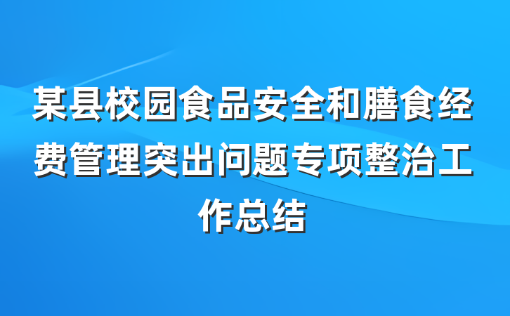 某县校园食品安全和膳食经费管理突出问题专项整治工作总结
