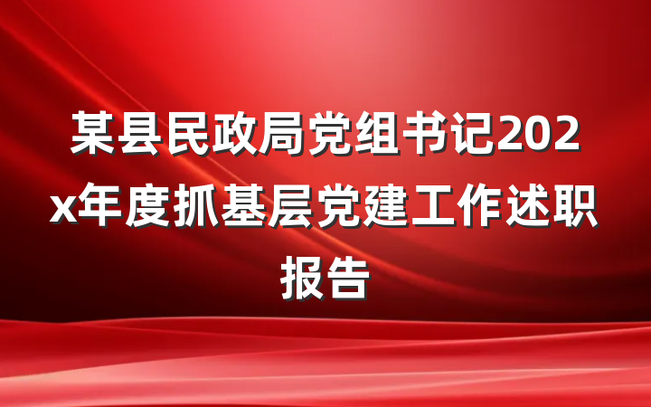 某县民政局党组书记202x年度抓基层党建工作述职报告