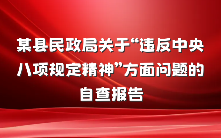 某县民政局关于“违反中央八项规定精神”方面问题的自查报告