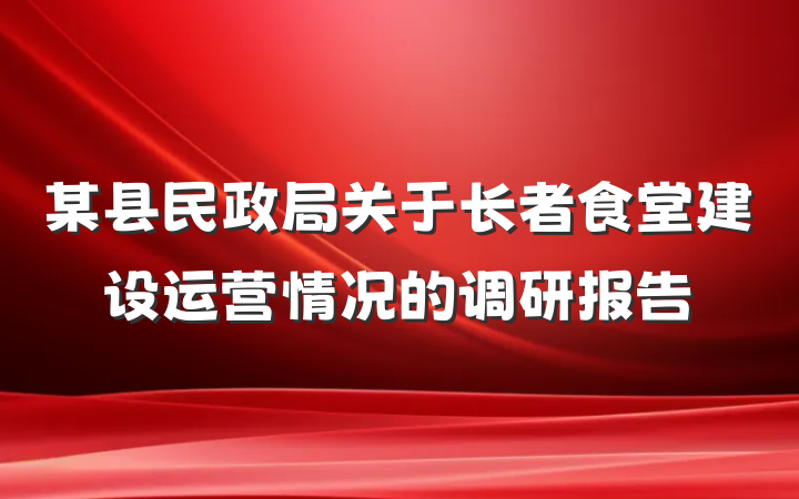 某县民政局关于长者食堂建设运营情况的调研报告