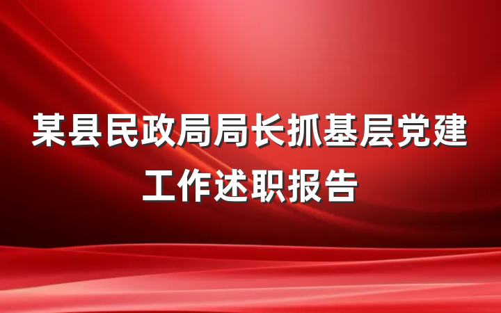 某县民政局局长抓基层党建工作述职报告