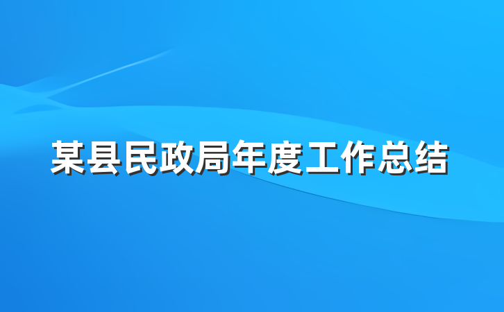 某县民政局年度工作总结