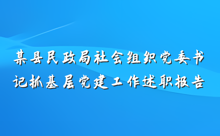 某县民政局社会组织党委书记抓基层党建工作述职报告