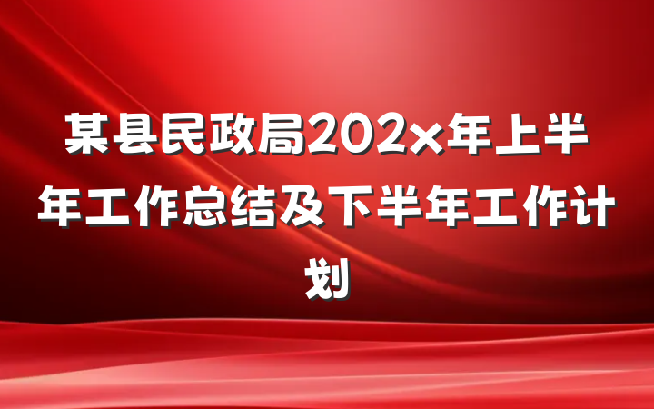 某县民政局202x年上半年工作总结及下半年工作计划