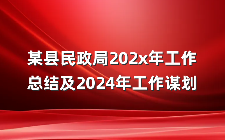 某县民政局202x年工作总结及2024年工作谋划