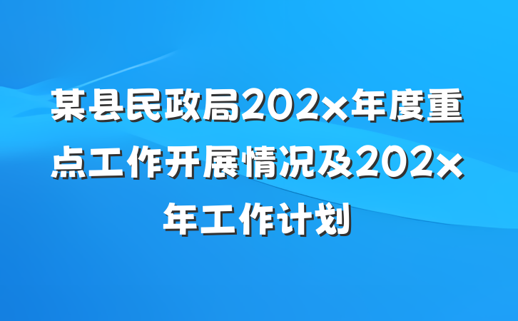 某县民政局202x年度重点工作开展情况及202x年工作计划