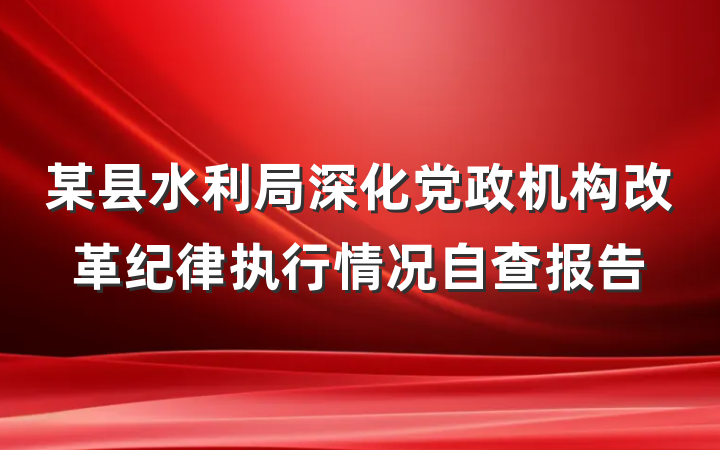 某县水利局深化党政机构改革纪律执行情况自查报告