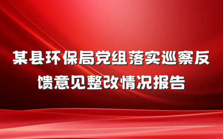 某县环保局党组落实巡察反馈意见整改情况报告