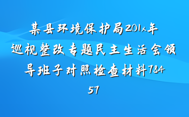 某县环境保护局201x年巡视整改专题民主生活会领导班子对照检查材料78457