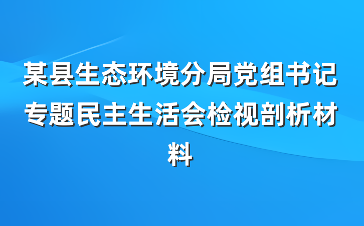 某县生态环境分局党组书记专题民主生活会检视剖析材料