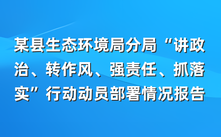 某县生态环境局分局“讲政治、转作风、强责任、抓落实”行动动员部署情况报告