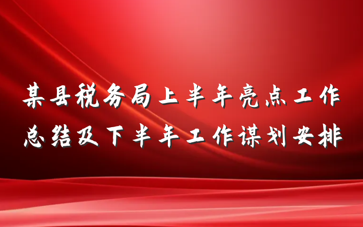 某县税务局上半年亮点工作总结及下半年工作谋划安排