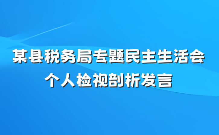 某县税务局专题民主生活会个人检视剖析发言