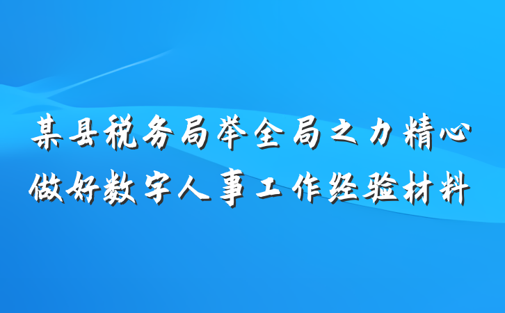 某县税务局举全局之力精心做好数字人事工作经验材料