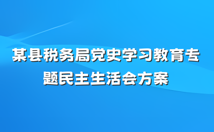 某县税务局党史学习教育专题民主生活会方案
