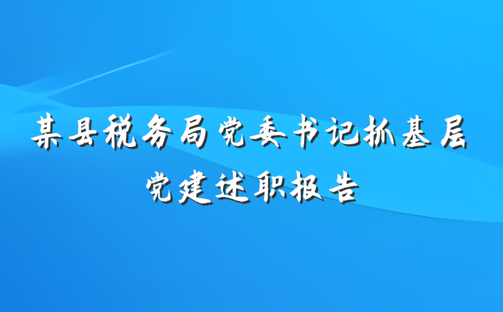 某县税务局党委书记抓基层党建述职报告